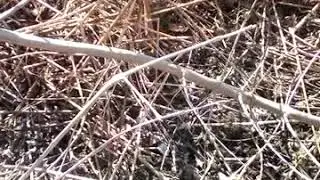 Большой костёр 8 часть
