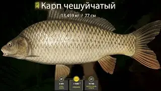 ПОЙМАЛ БОЛЬШОГО КАРПА ЧЕШУЙЧАСТОГО НА 13.500 КГ НА ТВОРОЖНОЕ ТЕСТО! ОЗЕРО СТАРЫЙ ОСТРОГ! РР4