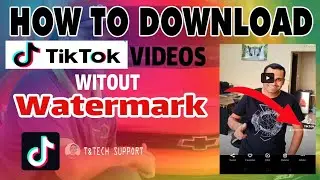 How to download TikTok video without watermark with app & website | download TikTok videos from app