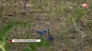 Жители Верхней Березовки жалуются на произвол наркоманов