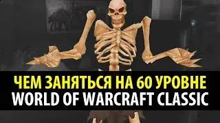 ЧЕМ ЗАНЯТЬСЯ НА 60 УРОВНЕ?! (WoW Classic)