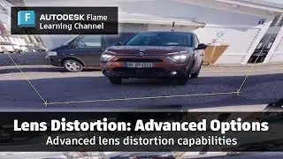 Lens Distortion: Advanced Options - Flame 2025