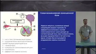 Тунельные синдромы Субботин Фидель