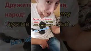 Приколы юмор цитаты стихи