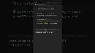 99% dos Desenvolvedores Python Cometem Esse Erro Crucial!  #python