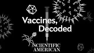 Decoded: How do vaccines actually work?