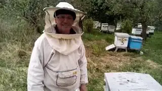 Lavrov's apiary. We make layering from the main families