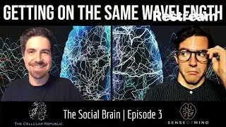 The Social Brain Ep.3: Getting on the Same Wavelength
