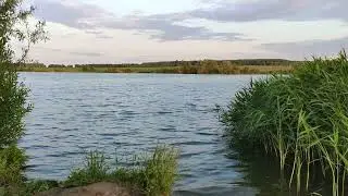 Релакс видео с репьёвского пруда, звуки природы в чистом виде