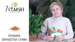 КАК ПРАВИЛЬНО ОБРАБОТАТЬ СЕМЕНА ПЕРЕД ПОСЕВОМ!