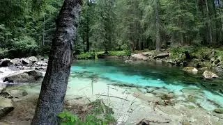 Футаж для видеомонтажа #44. [Природа, река, лес]