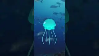 ¡Las medusas viven en la Tierra hace más de 500 millones de años! 🪼​