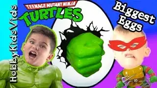 Biggest HULK + TMNT Surprise Eggs! Fun Toys with Ninja Turtles HobbyKidsVids