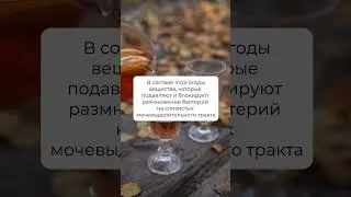 Лучшее натуральное средство от цистита👇🏼 #полезно #лайфхак #shorts