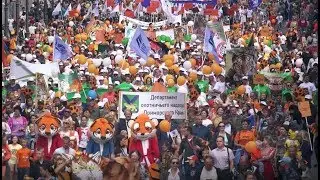Tiger Day 2017. Trailer