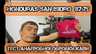 Peru San Isidro 87.75 - тест зернової Ароматної кави анаеробної натуральної обробки.