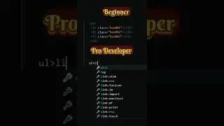 Beginner vs Pro Developer 🫢 