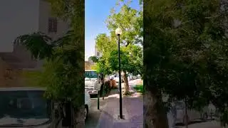 🇸🇦Riyaz Shamesi 