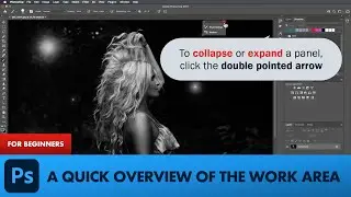 Photoshop for Beginners - A Quick Overview of the Work Area