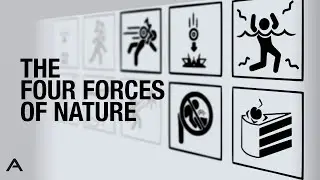 The Four Forces of Nature