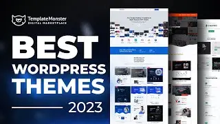 Best WordPress Themes 2023