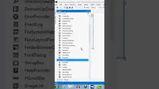 046 - Windows Form C# Label Control