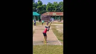Amazing Village Cricket 