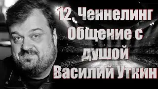 12. Ченнелинг. Общение с душой.  Василий Уткин: 