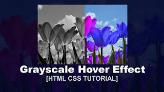 Filter Grayscale On Hover Using HTML CSS - Black And white Portrait Effect