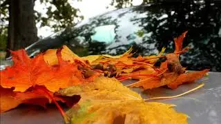 ОСЕНЬ ОСЕНЬ - С ВОЛОДЕЙ ПОЁМ  КРАСИВУЮ ПЕСНЮ- караоке