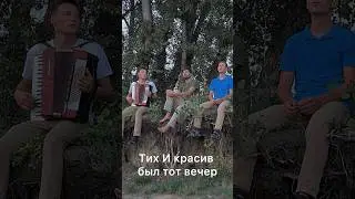 #братья_из_михайловки