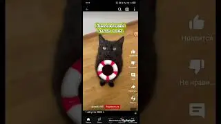 лаки мур = гов..