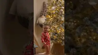 ТИМ ПОРТИТ ЕЛКУ 🎄🙊 