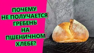 НЕ ПОЛУЧАЕТСЯ ГРЕБЕНЬ 😱🤦‍♀️ на пшеничном хлебе! Почему? Ответы на все вопросы!