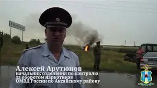 Целое поле дикорастущей конопли уничтожили ростовские полицейские