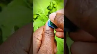 Nederlandse vlag nagelontwerpen kunsttutorial 