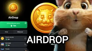 Аирдроп Hamster Kombat 🐹 Обновление в Хомяке #hamsterkombat