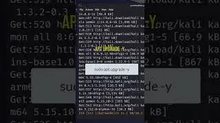 Upgrade Kali Linux 