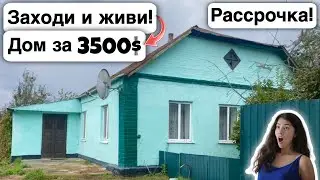 🇺🇦 Заходи и живи! Дом в селе за 3500$ Продажа недвижимости за копейки Всё есть! Уютное тихое село!