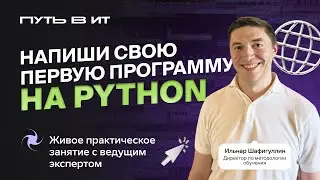 Путь в ИТ. Практикум по программированию на Python