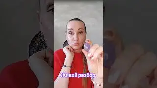 Живой разбор 