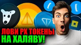 Earn: Store NOT, TON, DOGS and Catch PX Tokens for Free! | Earn x Not Pixel