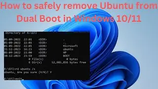 How to safely remove Ubuntu (Linux) from dual boot in Windows 10/11