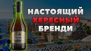 Хересный бренди Sandeman Imperial | Сравнение с Torres 10