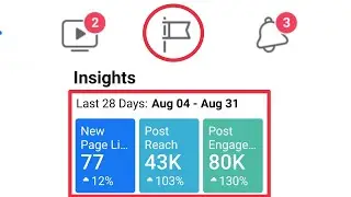 How To Check Pages Insights in Facebook