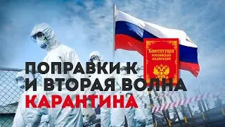 Поправки к Конституции и Вторая Волна Карантина. Сергей Переслегин