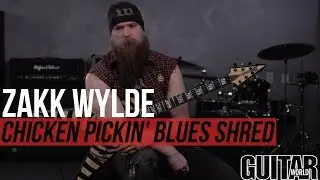 Zakk Wylde - Insane Chicken Pickin Blues Shred Lick!