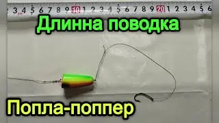 Длинна поводка на Попла-поппер. Попла-поппер. Рыбалка на попла-поппер.