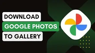 How To Download Photos From Google Photos To Gallery !