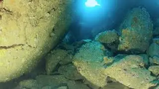 360 Underwater - Bird Rock swim-through, Poor Knights Islands, New Zealand | Insta360 One RS 1-inch